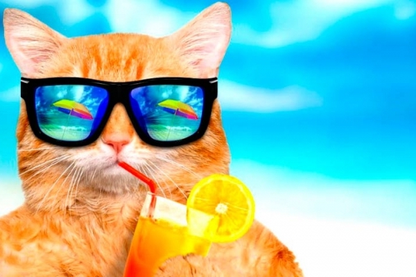 Туроператори крадуть в українців мільйони: шахраї користуються новою схемою