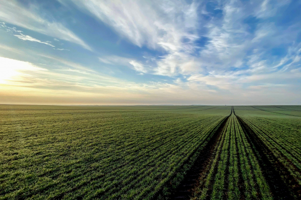 «Контінентал» розпочав виробничий сезон