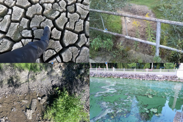 Водна криза Тернопільщини: коли київські міністерства ігнорують критичний рівень падіння місцевих річок