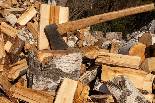 Українцям радять запастися дровами: скільки коштуватиме опалення цього сезону